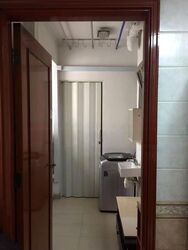 Parc Vista (D22), Condominium #455058201